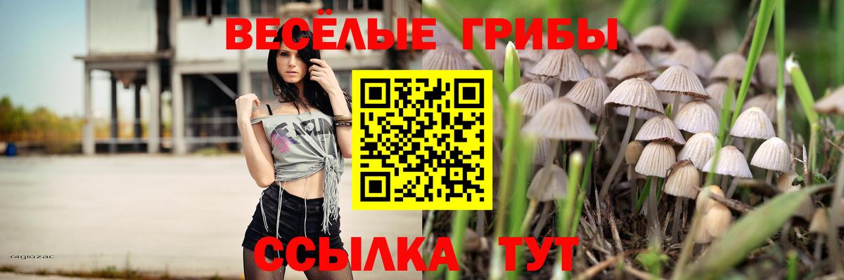 Псилоцибиновые грибы Psilocybe  Псилоцибиновые грибы прущие грибы  где купить наркоту  Вход с VPN  Железноводск 